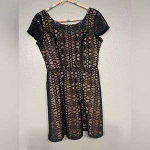 Speechless Black Lace Dress